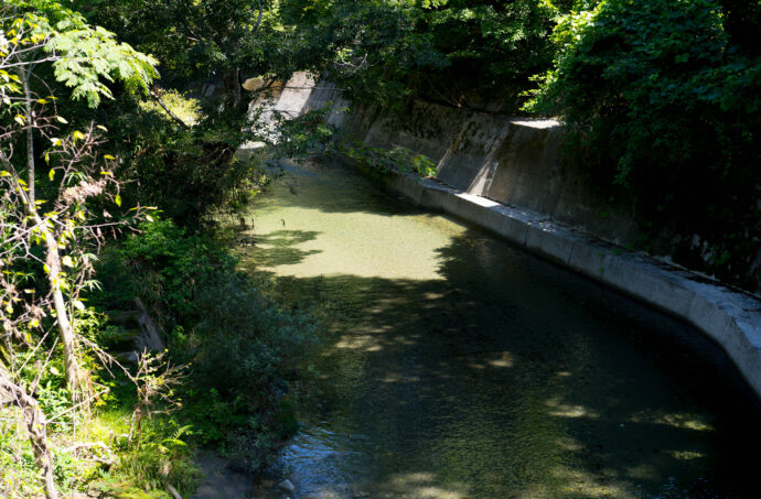 阿多古川　大井川　阿多古屋　あたごがわ　アタゴガワ　ATAGOGAWA OOIGAＷＡ　おおいがわ　オオイガワ　あたごや　アタゴヤ 　ATAGOYA　　旅宿　阿多古屋　
静岡県浜松市天竜区西勝平288-1　地元の名所　川遊び　定番　天滝川　飛び込み
深い　皮泳ぎ　水キレイ　水遊び　お盆休み　癒し　静か　山の声　ミンミンゼミ
（株）富屋酒店　愛知県名古屋市瑞穂区上坂町1-41-2　地酒屋　専門店　ライカM11　ズミルックス50　レンズ　代表　上田豊二　きき酒師　焼酎アドバイザー　
シャンパーニュシュヴァリエ　堀田駅　熱田神宮駅
名古屋高速　堀田出口すぐ　牛巻交差点すぐ　レトロ街並み　瓦屋根
　　　クラッシックカー　クラッシックバイク　インテリア　ファッション　音楽
センス　クリエイト　おたく　マニア　映画　シネマ
