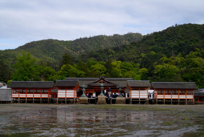 厳島神社　いつくしまじんじゃ　イツクシマジンジャ　広島県廿日市市宮島町1-1　
（株）富屋酒店 かぶしきがいしゃ とみやさけてん カブシキガイシャ　トミヤサケテン TOMIYA SAKETEN 　愛知県名古屋市瑞穂区上坂町1-41-2　地酒屋　豊盃　HOUHAI ほうはい　ホーハイ　三浦酒造  MIURASHUZO日高見　ひたかみ　ヒタカミ HITAKAMI  平孝酒造　HIRAKOSHUZO 天の戸 アマノト　あまのと　AMANOTO　浅舞酒造 ASAMAISHUZO　飛露喜 HIROKISHUZOHONTEN　廣木酒造本店　HIROK　大那 DAINA　ダイナ　だいな　菊の里酒造　KIKUNOSATOSHUZO　旭興　KYOKUKO　きょくこう　キョクコウ　渡邉酒造　WATANABESHUZO　仙禽 SENKIN　せんきん　センキン（株）せんきん SENKIN鶴齢　カクレイ　かくれい KAKUREI　青木酒造　AOKISHUZO謙信 ケンシン　けんしん KENSHIN池田屋酒造 IKEDAYASHUZO 白岳仙 HAKUGAKUSEN　ハクガクセン　はくがくせん　安本酒造 YASUMOTOSHUZO 群馬泉 グンマイズミ　ぐんまいずみ 島岡酒造 SHIMAOKASHUZO  喜久醉 きくよい キクヨイKIKUYOI 青島酒造 AOSHIMASHUZO 長珍 ちょうちん　チョウチン長珍酒造CHOCHINSHUZO　みねたからみりん　峯寳 味醂　一子相伝 ミネタカラ　いっしそうでん　イッシソウデン　小笠原味醂 OGASAWARA MIRIN

瀧自慢　たきじまん　タキジマン　瀧自慢酒造　TAKIZIMANSHUZO　田光　TABIKA 早川酒造  HAYAKAWASHUZO　作　ZAKU ざく ザク 清水清三郎商店 SHIMIZUSEIZABUROSHOTEN  篠峯　櫛羅　しのみね　シノミネ　くじら　クジラ　千代酒造　CHIYOSHUZO　雑賀　さいか　サイカ　九重雑賀  KOKONOESAIKA　紀土　鶴梅　無量山　きっど　キッド　KID 　ツルウメ　つるうめ　TURUUME　ムリョウザン　むりょうざん　MURYOZAN　平和酒造　HEIWASHUZO　蒼空　そうくう　ソウクウ　SÔKÛ　藤岡酒造　HUJIOKASHUZO 　宝剣　HOUKEN  宝剣酒造　ほうけんしゅぞう　ホウケンシュゾウ　HOKENSHUZO　清酒竹鶴　小笹屋竹鶴　せいしゅたけつる　セイシュタケツル　おささやたけつる　オササヤタケツル　竹鶴酒造　TAKETURUSHUZO
石鎚　いしづち　イシヅチ　石鎚酒造　ISHIDUCHISHUZO　土佐しらぎく　とさしらぎく　トサシラギク　仙頭酒造場　せんとうしゅぞうじょう　SENDOSHUZOZYO　アルガブランカ　ARUGABURANKA勝沼醸造　KATUNUMAJÔZÔ　ドメーヌソガ　ソガ・ペール・エ・フィス SOGA PELE ET FIS　オブセワイナリー　OBUSEWINERY　ドメーヌタカヒコ　DOMAINE TAKAHIKO　クリサワブラン　KURISAWA BLANC　ナカザワワイナリー　NAKAZAWA WINERY　さつま寿　SATUMA KOTOBUKI 　尾込商店 OGOME SHOTEN  蔵の師魂 KURANOSHIKON  小正醸造　KOMASA ＪÔＺÔ　天狗櫻 TENGUSAKURA  白石酒蔵　SHIRAISHISHUZO  しま千両 SHIMASENRYO　高崎酒蔵  TAKASAKISHUZO  杜氏潤平　TOJIJUNPEI  小玉醸造  KODAMAJOZO  赤鹿毛　青鹿毛  AKAKAGE   AOKAGE　柳田酒蔵  YANAGIDASHUZO　舞香　MAIKA　泰明　TAIMEI　藤居醸造　HUZIIJÔＺÔ　池の露　特酎天草　IKENOTUYU  TOKUCHU  AMAKUSA　壱乃醸　飛乃流　朝日　ICHINOJO  HINORYU　ASAHI　朝日酒造　ASAHISHUZO　龍宮　RYUGU 富田酒造場　TOMITASHUZOJO　鳥飼 TORIKAI　鳥飼酒造　TORIKAISHUZO　極楽 GOIKURAKU　林酒造場 HAYASHISHUZOJO　屋久の島大自然林　酔麦香　YAKUNOSHIMA DAISHIZENRIN SUIBASKUKA　本坊酒造　HONBOSHUZO
金峰　金峰荒蘆過  KINPO　KINPOARAROKA　宇都酒造　UTOSHUZO　北谷長老　CHYATANCHÔＲÔ　北谷酒造　CHYATANSHUZO　山原くいな　YAMBARUKUINA　やんばる酒造　YAMBARUSHUZO　2024年春オープン予定 いいねタウン瑞穂 iiNE マルシェ内　グランクレア瑞穂 いいねタウン瑞穂  愛知県名古屋市瑞穂区宝田町四丁目2番、3番2　春敲町三丁目23番1（地番） 魚太郎　UOTARO MIZUHO うおたろう　ウオタロウ　なごやみずほてん　ナゴヤミズホテン　 名古屋瑞穂店  車で1分　徒歩5分　丸明 瑞穂店  MARUAKI MIZUHO　マルアキ ミズホテン　まるあき みずほてん　 徒歩10分　車3分　焼肉 美奈登  ヤキニクミナト　やきにくみなと YAKINIKU MINATO 車で2分　徒歩10分  どての品川　DOTENO SHINAGAWA　ドテノシナガワ　どてのしながわ　車で30秒　徒歩1分昇福亭　SHOHUKUTEI しょうふくてい　ショウフクテイ 街中華　マニア　大盛り　個性派  車で5分　徒歩15分  名店 近くにたくさんあり　堀田バンザイ　牛巻バンザイ　名古屋のへそ

