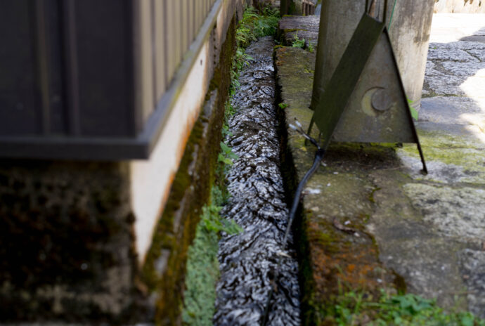 水の町 郡上八幡 GUJOHACHIMAN ぐじょうはちまん グジョウハチマン  吉田川  宗祇水  古い町並み  癒し  水舟  （株）富屋酒店 かぶしきがいしゃ とみやさけてん カブシキガイシャ　トミヤサケテン TOMIYA SAKETEN 　愛知県名古屋市瑞穂区上坂町1-41-2　地酒屋　豊盃　HOUHAI ほうはい　ホーハイ　三浦酒造  MIURASHUZO日高見　ひたかみ　ヒタカミ HITAKAMI  平孝酒造　HIRAKOSHUZO 天の戸 アマノト　あまのと　AMANOTO　浅舞酒造ASAMAISHUZO　飛露喜 HIROKISHUZOHONTEN　廣木酒造本店　HIROK　大那 DAINA　ダイナ　だいな　菊の里酒造　KIKUNOSATOSHUZO　旭興　KYOKUKO　きょくこう　キョクコウ　渡邉酒造　WATANABESHUZO　仙禽 SENKIN　せんきん　センキン（株）せんきん SENKIN鶴齢　カクレイ　かくれい KAKUREI　青木酒造　AOKISHUZO謙信 ケンシン　けんしん KENSHIN池田屋酒造 IKEDAYASHUZO 白岳仙 HAKUGAKUSEN　ハクガクセン　はくがくせん　安本酒造 YASUMOTOSHUZO 群馬泉 グンマイズミ　ぐんまいずみ 島岡酒造 SHIMAOKASHUZO  喜久醉 きくよい キクヨイKIKUYOI 青島酒造 AOSHIMASHUZO 長珍 ちょうちん　チョウチン長珍酒造CHOCHINSHUZO　みねたからみりん　峯寳 味醂　一子相伝 ミネタカラ　いっしそうでん　イッシソウデン　小笠原味醂 OGASAWARA MIRIN

瀧自慢　たきじまん　タキジマン　瀧自慢酒造　TAKIZIMANSHUZO　田光　TABIKA 早川酒造  HAYAKAWASHUZO　作　ZAKU ざく ザク 清水清三郎商店 SHIMIZUSEIZABUROSHOTEN  篠峯　櫛羅　しのみね　シノミネ　くじら　クジラ　千代酒造　CHIYOSHUZO　雑賀　さいか　サイカ　九重雑賀  KOKONOESAIKA　紀土　鶴梅　無量山　きっど　キッド　KID 　ツルウメ　つるうめ　TURUUME　ムリョウザン　むりょうざん　MURYOZAN　平和酒造　HEIWASHUZO　蒼空　そうくう　ソウクウ　SÔKÛ　藤岡酒造　HUJIOKASHUZO 　宝剣　HOUKEN  宝剣酒造　ほうけんしゅぞう　ホウケンシュゾウ　HOKENSHUZO　清酒竹鶴　小笹屋竹鶴　せいしゅたけつる　セイシュタケツル　おささやたけつる　オササヤタケツル　竹鶴酒造　TAKETURUSHUZO
石鎚　いしづち　イシヅチ　石鎚酒造　ISHIDUCHISHUZO　土佐しらぎく　とさしらぎく　トサシラギク　仙頭酒造場　せんとうしゅぞうじょう　SENDOSHUZOZYO
　
 ブルゴーニュワイン　BOURGOGNE  ボルドーワイン　BORDEAUXカリフォルニアワイン CALIFORNIA  シャンパーニュ  SHAMPAGNEアルザスワイン ALSACE ドイツワイン WEIN GERMAN WINE 専門店　ライカM11　ズミルックス50　レンズ　代表　上田豊二　　きき酒師　焼酎アドバイザー　シャンパーニュシュヴァリエ　堀田駅より徒歩10分　熱田神宮駅より徒歩10分
市バス　牛巻より徒歩３分　地下鉄堀田駅より徒歩１５分　名古屋高速堀田出口より車で２分　牛巻交差点より徒歩５分　レトロ街並み　瓦屋根　裏道　大通りより二本入る　CLASSIC CARクラッシックカー CLASSIC BIKE　クラッシックバイク INTERIA　インテリア　　FASHION　ファッション　MUSIC　音楽　LOVE　SAKE SHOP　酒屋
センス　クリエイト　おたく　　MANIAマニア MOVIE　映画　CINEMA シネマ　2024年春オープン予定 いいねタウン瑞穂 iiNE マルシェ内　グランクレア瑞穂 いいねタウン瑞穂  愛知県名古屋市瑞穂区宝田町四丁目2番、3番2　春敲町三丁目23番1（地番） 魚太郎　UOTARO MIZUHO うおたろう　ウオタロウ　なごやみずほてん　ナゴヤミズホテン　 名古屋瑞穂店  車で1分　徒歩5分　丸明 瑞穂店  MARUAKI MIZUHO　マルアキ ミズホテン　まるあき みずほてん　 徒歩10分　車3分　焼肉 美奈登  ヤキニクミナト　やきにくみなと YAKINIKU MINATO 車で2分　徒歩10分  どての品川　DOTENO SHINAGAWA　ドテノシナガワ　どてのしながわ　車で30秒　徒歩1分昇福亭　SHOHUKUTEI しょうふくてい　ショウフクテイ 街中華　マニア　大盛り　個性派  車で5分　徒歩15分  名店 近くにたくさんあり　堀田バンザイ　牛巻バンザイ　名古屋のへそ


