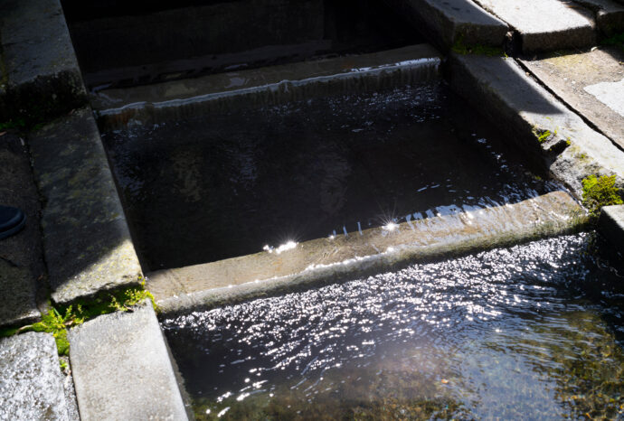 水の町 郡上八幡 GUJOHACHIMAN ぐじょうはちまん グジョウハチマン  吉田川  宗祇水  古い町並み  癒し  水舟  （株）富屋酒店 かぶしきがいしゃ とみやさけてん カブシキガイシャ　トミヤサケテン TOMIYA SAKETEN 　愛知県名古屋市瑞穂区上坂町1-41-2　地酒屋　豊盃　HOUHAI ほうはい　ホーハイ　三浦酒造  MIURASHUZO日高見　ひたかみ　ヒタカミ HITAKAMI  平孝酒造　HIRAKOSHUZO 天の戸 アマノト　あまのと　AMANOTO　浅舞酒造ASAMAISHUZO　飛露喜 HIROKISHUZOHONTEN　廣木酒造本店　HIROK　大那 DAINA　ダイナ　だいな　菊の里酒造　KIKUNOSATOSHUZO　旭興　KYOKUKO　きょくこう　キョクコウ　渡邉酒造　WATANABESHUZO　仙禽 SENKIN　せんきん　センキン（株）せんきん SENKIN鶴齢　カクレイ　かくれい KAKUREI　青木酒造　AOKISHUZO謙信 ケンシン　けんしん KENSHIN池田屋酒造 IKEDAYASHUZO 白岳仙 HAKUGAKUSEN　ハクガクセン　はくがくせん　安本酒造 YASUMOTOSHUZO 群馬泉 グンマイズミ　ぐんまいずみ 島岡酒造 SHIMAOKASHUZO  喜久醉 きくよい キクヨイKIKUYOI 青島酒造 AOSHIMASHUZO 長珍 ちょうちん　チョウチン長珍酒造CHOCHINSHUZO　みねたからみりん　峯寳 味醂　一子相伝 ミネタカラ　いっしそうでん　イッシソウデン　小笠原味醂 OGASAWARA MIRIN

瀧自慢　たきじまん　タキジマン　瀧自慢酒造　TAKIZIMANSHUZO　田光　TABIKA 早川酒造  HAYAKAWASHUZO　作　ZAKU ざく ザク 清水清三郎商店 SHIMIZUSEIZABUROSHOTEN  篠峯　櫛羅　しのみね　シノミネ　くじら　クジラ　千代酒造　CHIYOSHUZO　雑賀　さいか　サイカ　九重雑賀  KOKONOESAIKA　紀土　鶴梅　無量山　きっど　キッド　KID 　ツルウメ　つるうめ　TURUUME　ムリョウザン　むりょうざん　MURYOZAN　平和酒造　HEIWASHUZO　蒼空　そうくう　ソウクウ　SÔKÛ　藤岡酒造　HUJIOKASHUZO 　宝剣　HOUKEN  宝剣酒造　ほうけんしゅぞう　ホウケンシュゾウ　HOKENSHUZO　清酒竹鶴　小笹屋竹鶴　せいしゅたけつる　セイシュタケツル　おささやたけつる　オササヤタケツル　竹鶴酒造　TAKETURUSHUZO
石鎚　いしづち　イシヅチ　石鎚酒造　ISHIDUCHISHUZO　土佐しらぎく　とさしらぎく　トサシラギク　仙頭酒造場　せんとうしゅぞうじょう　SENDOSHUZOZYO
　
 ブルゴーニュワイン　BOURGOGNE  ボルドーワイン　BORDEAUXカリフォルニアワイン CALIFORNIA  シャンパーニュ  SHAMPAGNEアルザスワイン ALSACE ドイツワイン WEIN GERMAN WINE 専門店　ライカM11　ズミルックス50　レンズ　代表　上田豊二　　きき酒師　焼酎アドバイザー　シャンパーニュシュヴァリエ　堀田駅より徒歩10分　熱田神宮駅より徒歩10分
市バス　牛巻より徒歩３分　地下鉄堀田駅より徒歩１５分　名古屋高速堀田出口より車で２分　牛巻交差点より徒歩５分　レトロ街並み　瓦屋根　裏道　大通りより二本入る　CLASSIC CARクラッシックカー CLASSIC BIKE　クラッシックバイク INTERIA　インテリア　　FASHION　ファッション　MUSIC　音楽　LOVE　SAKE SHOP　酒屋
センス　クリエイト　おたく　　MANIAマニア MOVIE　映画　CINEMA シネマ　2024年春オープン予定 いいねタウン瑞穂 iiNE マルシェ内　グランクレア瑞穂 いいねタウン瑞穂  愛知県名古屋市瑞穂区宝田町四丁目2番、3番2　春敲町三丁目23番1（地番） 魚太郎　UOTARO MIZUHO うおたろう　ウオタロウ　なごやみずほてん　ナゴヤミズホテン　 名古屋瑞穂店  車で1分　徒歩5分　丸明 瑞穂店  MARUAKI MIZUHO　マルアキ ミズホテン　まるあき みずほてん　 徒歩10分　車3分　焼肉 美奈登  ヤキニクミナト　やきにくみなと YAKINIKU MINATO 車で2分　徒歩10分  どての品川　DOTENO SHINAGAWA　ドテノシナガワ　どてのしながわ　車で30秒　徒歩1分昇福亭　SHOHUKUTEI しょうふくてい　ショウフクテイ 街中華　マニア　大盛り　個性派  車で5分　徒歩15分  名店 近くにたくさんあり　堀田バンザイ　牛巻バンザイ　名古屋のへそ


