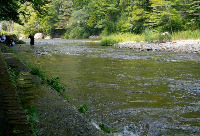 湯谷園地　ゆやえんち　ユヤエンチ  愛知県新城市能登上ノ段　長年の避暑地  激冷たい  最高 端からJUMP  岩場からJUMP  愛知の穴場  （株）富屋酒店 かぶしきがいしゃ とみやさけてん カブシキガイシャ　トミヤサケテン TOMIYA SAKETEN 　愛知県名古屋市瑞穂区上坂町1-41-2　地酒屋　豊盃　HOUHAI ほうはい　ホーハイ　三浦酒造  MIURASHUZO日高見　ひたかみ　ヒタカミ HITAKAMI  平孝酒造　HIRAKOSHUZO 天の戸 アマノト　あまのと　AMANOTO　浅舞酒造 ASAMAISHUZO　飛露喜 HIROKISHUZOHONTEN　廣木酒造本店　HIROK　大那 DAINA　ダイナ　だいな　菊の里酒造　KIKUNOSATOSHUZO　旭興　KYOKUKO　きょくこう　キョクコウ　渡邉酒造　WATANABESHUZO　仙禽 SENKIN　せんきん　センキン（株）せんきん SENKIN鶴齢　カクレイ　かくれい KAKUREI　青木酒造　AOKISHUZO謙信 ケンシン　けんしん KENSHIN池田屋酒造 IKEDAYASHUZO 白岳仙 HAKUGAKUSEN　ハクガクセン　はくがくせん　安本酒造 YASUMOTOSHUZO 群馬泉 グンマイズミ　ぐんまいずみ 島岡酒造 SHIMAOKASHUZO  喜久醉 きくよい キクヨイKIKUYOI 青島酒造 AOSHIMASHUZO 長珍 ちょうちん　チョウチン長珍酒造CHOCHINSHUZO　みねたからみりん　峯寳 味醂　一子相伝 ミネタカラ　いっしそうでん　イッシソウデン　小笠原味醂 OGASAWARA MIRIN

瀧自慢　たきじまん　タキジマン　瀧自慢酒造　TAKIZIMANSHUZO　田光　TABIKA 早川酒造  HAYAKAWASHUZO　作　ZAKU ざく ザク 清水清三郎商店 SHIMIZUSEIZABUROSHOTEN  篠峯　櫛羅　しのみね　シノミネ　くじら　クジラ　千代酒造　CHIYOSHUZO　雑賀　さいか　サイカ　九重雑賀  KOKONOESAIKA　紀土　鶴梅　無量山　きっど　キッド　KID 　ツルウメ　つるうめ　TURUUME　ムリョウザン　むりょうざん　MURYOZAN　平和酒造　HEIWASHUZO　蒼空　そうくう　ソウクウ　SÔKÛ　藤岡酒造　HUJIOKASHUZO 　宝剣　HOUKEN  宝剣酒造　ほうけんしゅぞう　ホウケンシュゾウ　HOKENSHUZO　清酒竹鶴　小笹屋竹鶴　せいしゅたけつる　セイシュタケツル　おささやたけつる　オササヤタケツル　竹鶴酒造　TAKETURUSHUZO
石鎚　いしづち　イシヅチ　石鎚酒造　ISHIDUCHISHUZO　土佐しらぎく　とさしらぎく　トサシラギク　仙頭酒造場　せんとうしゅぞうじょう　SENDOSHUZOZYO　アルガブランカ　ARUGABURANKA勝沼醸造　KATUNUMAJÔZÔ　ドメーヌソガ　ソガ・ペール・エ・フィス SOGA PELE ET FIS　オブセワイナリー　OBUSEWINERY　ドメーヌタカヒコ　DOMAINE TAKAHIKO　クリサワブラン　KURISAWA BLANC　ナカザワワイナリー　NAKAZAWA WINERY　さつま寿　SATUMA KOTOBUKI 　尾込商店 OGOME SHOTEN  蔵の師魂 KURANOSHIKON  小正醸造　KOMASA ＪÔＺÔ　天狗櫻 TENGUSAKURA  白石酒蔵　SHIRAISHISHUZO  しま千両 SHIMASENRYO　高崎酒蔵  TAKASAKISHUZO  杜氏潤平　TOJIJUNPEI  小玉醸造  KODAMAJOZO  赤鹿毛　青鹿毛  AKAKAGE   AOKAGE　柳田酒蔵  YANAGIDASHUZO　舞香　MAIKA　泰明　TAIMEI　藤居醸造　HUZIIJÔＺÔ　池の露　特酎天草　IKENOTUYU  TOKUCHU  AMAKUSA　壱乃醸　飛乃流　朝日　ICHINOJO  HINORYU　ASAHI　朝日酒造　ASAHISHUZO　龍宮　RYUGU 富田酒造場　TOMITASHUZOJO　鳥飼 TORIKAI　鳥飼酒造　TORIKAISHUZO　極楽 GOIKURAKU　林酒造場 HAYASHISHUZOJO　屋久の島大自然林　酔麦香　YAKUNOSHIMA DAISHIZENRIN SUIBASKUKA　本坊酒造　HONBOSHUZO
金峰　金峰荒蘆過  KINPO　KINPOARAROKA　宇都酒造　UTOSHUZO　北谷長老　CHYATANCHÔＲÔ　北谷酒造　CHYATANSHUZO　山原くいな　YAMBARUKUINA　やんばる酒造　YAMBARUSHUZO　2024年春オープン予定 いいねタウン瑞穂 iiNE マルシェ内　グランクレア瑞穂 いいねタウン瑞穂  愛知県名古屋市瑞穂区宝田町四丁目2番、3番2　春敲町三丁目23番1（地番） 魚太郎　UOTARO MIZUHO うおたろう　ウオタロウ　なごやみずほてん　ナゴヤミズホテン　 名古屋瑞穂店  車で1分　徒歩5分　丸明 瑞穂店  MARUAKI MIZUHO　マルアキ ミズホテン　まるあき みずほてん　 徒歩10分　車3分　焼肉 美奈登  ヤキニクミナト　やきにくみなと YAKINIKU MINATO 車で2分　徒歩10分  どての品川　DOTENO SHINAGAWA　ドテノシナガワ　どてのしながわ　車で30秒　徒歩1分昇福亭　SHOHUKUTEI しょうふくてい　ショウフクテイ 街中華　マニア　大盛り　個性派  車で5分　徒歩15分  名店 近くにたくさんあり　堀田バンザイ　牛巻バンザイ　名古屋のへそ

