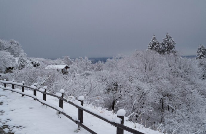 渡邉酒造　わたなべしゅうぞう　ワタナベシュゾウ　袋搾り　無加圧　直汲み
栃木県大田原市須佐木七九七-一　旭興　きょくこう　キョクコウ　KYOKKO
地酒　名古屋特約店　唯一　たまか　ピンク　ブルー　生酛造り　伝統　酒造り　特別純米　純米吟醸　生酛純米吟醸　協会6号酵母　しんぶんし　包装　希少品
山田錦　雄町　夢ささら　愛山　ひとごこち　貴醸酒　貴醸酒スパークリング
TOMIYAORIGINAL　富屋オリジナル　トミヤオリジナル　SPECIAL　辛口純米
純米吟醸　雄町　磨き五割　特別本醸造生　たまか　赤　青　ぬる燗　旨し　職人
チャーミングな透明感溢れる＜ひとごこち＞の味わいを  「旭興  KYOKUKO  特別純米  おりがらみ ＜ひとごこち HITOGKOCHI＞ 直汲み無濾過生原酒  R5BY」（株）富屋酒店 かぶしきがいしゃ とみやさけてん カブシキガイシャ　トミヤサケテン TOMIYA SAKETEN 　愛知県名古屋市瑞穂区上坂町1-41-2　地酒屋　豊盃　HOUHAI ほうはい　ホーハイ　三浦酒造  MIURASHUZO日高見　ひたかみ　ヒタカミ HITAKAMI  平孝酒造　HIRAKOSHUZO 天の戸 アマノト　あまのと　AMANOTO　浅舞酒造 ASAMAISHUZO　飛露喜 HIROKISHUZOHONTEN　廣木酒造本店　HIROK　大那 DAINA　ダイナ　だいな　菊の里酒造　KIKUNOSATOSHUZO　旭興　KYOKUKO　きょくこう　キョクコウ　渡邉酒造　WATANABESHUZO　仙禽 SENKIN　せんきん　センキン（株）せんきん SENKIN鶴齢　カクレイ　かくれい KAKUREI　青木酒造　AOKISHUZO謙信 ケンシン　けんしん KENSHIN池田屋酒造 IKEDAYASHUZO 白岳仙 HAKUGAKUSEN　ハクガクセン　はくがくせん　安本酒造 YASUMOTOSHUZO 群馬泉 グンマイズミ　ぐんまいずみ 島岡酒造 SHIMAOKASHUZO  喜久醉 きくよい キクヨイKIKUYOI 青島酒造 AOSHIMASHUZO 長珍 ちょうちん　チョウチン長珍酒造CHOCHINSHUZO　みねたからみりん　峯寳 味醂　一子相伝 ミネタカラ　いっしそうでん　イッシソウデン　小笠原味醂 OGASAWARA MIRIN

瀧自慢　たきじまん　タキジマン　瀧自慢酒造　TAKIZIMANSHUZO　田光　TABIKA 早川酒造  HAYAKAWASHUZO　作　ZAKU ざく ザク 清水清三郎商店 SHIMIZUSEIZABUROSHOTEN  篠峯　櫛羅　しのみね　シノミネ　くじら　クジラ　千代酒造　CHIYOSHUZO　雑賀　さいか　サイカ　九重雑賀  KOKONOESAIKA　紀土　鶴梅　無量山　きっど　キッド　KID 　ツルウメ　つるうめ　TURUUME　ムリョウザン　むりょうざん　MURYOZAN　平和酒造　HEIWASHUZO　蒼空　そうくう　ソウクウ　SÔKÛ　藤岡酒造　HUJIOKASHUZO 　宝剣　HOUKEN  宝剣酒造　ほうけんしゅぞう　ホウケンシュゾウ　HOKENSHUZO　清酒竹鶴　小笹屋竹鶴　せいしゅたけつる　セイシュタケツル　おささやたけつる　オササヤタケツル　竹鶴酒造　TAKETURUSHUZO
石鎚　いしづち　イシヅチ　石鎚酒造　ISHIDUCHISHUZO　土佐しらぎく　とさしらぎく　トサシラギク　仙頭酒造場　せんとうしゅぞうじょう　SENDOSHUZOZYO　アルガブランカ　ARUGABURANKA勝沼醸造　KATUNUMAJÔZÔ　ドメーヌソガ　ソガ・ペール・エ・フィス SOGA PELE ET FIS　オブセワイナリー　OBUSEWINERY　ドメーヌタカヒコ　DOMAINE TAKAHIKO　クリサワブラン　KURISAWA BLANC　ナカザワワイナリー　NAKAZAWA WINERY　さつま寿　SATUMA KOTOBUKI 　尾込商店 OGOME SHOTEN  蔵の師魂 KURANOSHIKON  小正醸造　KOMASA ＪÔＺÔ　天狗櫻 TENGUSAKURA  白石酒蔵　SHIRAISHISHUZO  しま千両 SHIMASENRYO　高崎酒蔵  TAKASAKISHUZO  杜氏潤平　TOJIJUNPEI  小玉醸造  KODAMAJOZO  赤鹿毛　青鹿毛  AKAKAGE   AOKAGE　柳田酒蔵  YANAGIDASHUZO　舞香　MAIKA　泰明　TAIMEI　藤居醸造　HUZIIJÔＺÔ　池の露　特酎天草　IKENOTUYU  TOKUCHU  AMAKUSA　壱乃醸　飛乃流　朝日　ICHINOJO  HINORYU　ASAHI　朝日酒造　ASAHISHUZO　龍宮　RYUGU 富田酒造場　TOMITASHUZOJO　鳥飼 TORIKAI　鳥飼酒造　TORIKAISHUZO　極楽 GOIKURAKU　林酒造場 HAYASHISHUZOJO　屋久の島大自然林　酔麦香　YAKUNOSHIMA DAISHIZENRIN SUIBASKUKA　本坊酒造　HONBOSHUZO
金峰　金峰荒蘆過  KINPO　KINPOARAROKA　宇都酒造　UTOSHUZO　北谷長老　CHYATANCHÔＲÔ　北谷酒造　CHYATANSHUZO　山原くいな　YAMBARUKUINA　やんばる酒造　YAMBARUSHUZO　2024年春オープン予定 いいねタウン瑞穂 iiNE マルシェ内　グランクレア瑞穂 いいねタウン瑞穂  愛知県名古屋市瑞穂区宝田町四丁目2番、3番2　春敲町三丁目23番1（地番） 魚太郎　UOTARO MIZUHO うおたろう　ウオタロウ　なごやみずほてん　ナゴヤミズホテン　 名古屋瑞穂店  車で1分　徒歩5分　丸明 瑞穂店  MARUAKI MIZUHO　マルアキ ミズホテン　まるあき みずほてん　 徒歩10分　車3分　焼肉 美奈登  ヤキニクミナト　やきにくみなと YAKINIKU MINATO 車で2分　徒歩10分  どての品川　DOTENO SHINAGAWA　ドテノシナガワ　どてのしながわ　車で30秒　徒歩1分昇福亭　SHOHUKUTEI しょうふくてい　ショウフクテイ 街中華　マニア　大盛り　個性派  車で5分　徒歩15分  名店 近くにたくさんあり　堀田バンザイ　牛巻バンザイ　名古屋のへそスペックをはるかに超えた感動のスーパー本醸造  「旭興  KYOKUKO  ＜しぼりたて本醸造 HONJOZO＞ 無濾過生原酒  R5BY」
＜夢ささら＞の爽やかな味わいを直汲みのフレッシュさでさらに増幅 「旭興  KYOKKO  純米吟醸 直汲み   ＜夢ささら  YUMESASARA＞  無濾過生原酒」日本酒の可能性をさらに感じさせる実験的な作品 その味わいはまさに唯一無二  「旭興  KYOKUKO  樫樽熟成  生酛99％精米  ＜ROSSO＞ 2023」新鮮なイチゴをほうばっているかの如く心地よき甘味と酸味が超絶旨し 「旭興  KYOKUKO  貴醸酒  KIJOSHU  ＜百＞  にごり無濾過生原酒  R5BY豊かな雄町のふくよかさと艶感が極上に広がるジュンギン「旭興  KYOKKO  純米吟醸  ＜雄町  OMACHI＞  無濾過生原酒  R5BYタンク直汲みのフレッシュさをそのままに【TOMIYA SPECIALSPECIALSPECIAL MODEL】「旭興  KYOKKO  辛口純米  SUPERDRY JUNMAI ＜直汲み 無濾過生原酒＞ R5BY」美しき香りと艶感たっぷり 丁寧さと大自然の清らかさが生み出すスーパー無加圧SAKE 「旭興  KYOKKO  純米吟醸  山田錦  ＜無加圧  生酒  NO PRESSURE＞ R5BY」